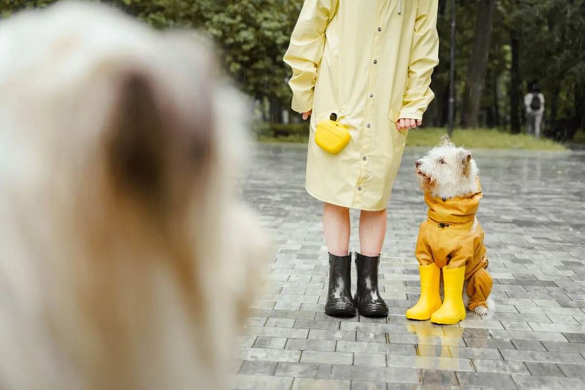 The UK Staycation Packing Checklist for a Rainy Weekend